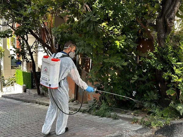 KÂĞITHANE’DE HAŞERE VE SİNEKLERE KARŞI ETKİN MÜCADELE